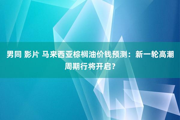 男同 影片 马来西亚棕榈油价钱预测：新一轮高潮周期行将开启？