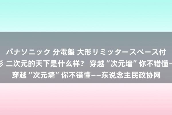 パナソニック 分電盤 大形リミッタースペース付 露出・半埋込両用形 二次元的天下是什么样？ 穿越“次元墙”你不错懂——东说念主民政协网