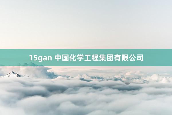 15gan 中国化学工程集团有限公司